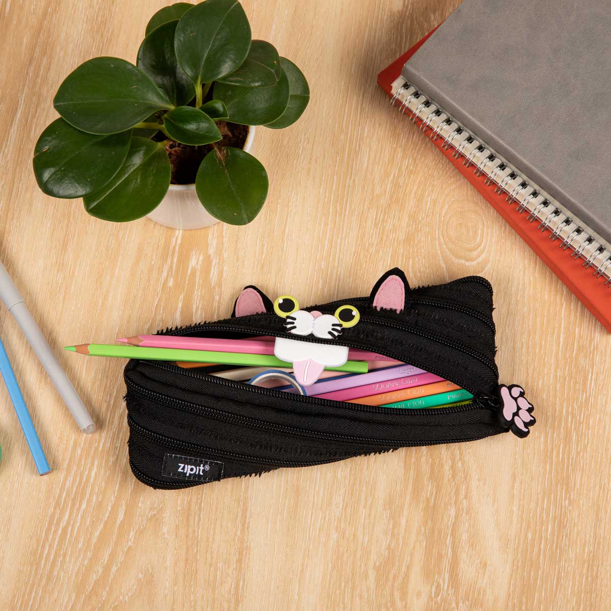 Cat Pencil Case